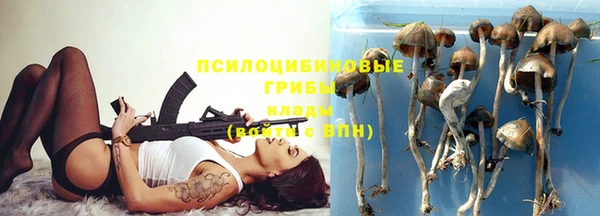 кокс Алзамай