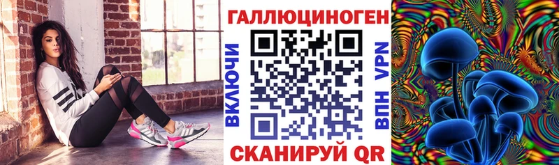 Псилоцибиновые грибы прущие грибы  Красный Сулин 